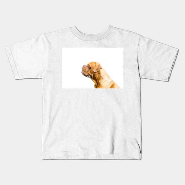 The Dogue de Bordeaux Or Bordeaux mastiff Kids T-Shirt by tommysphotos